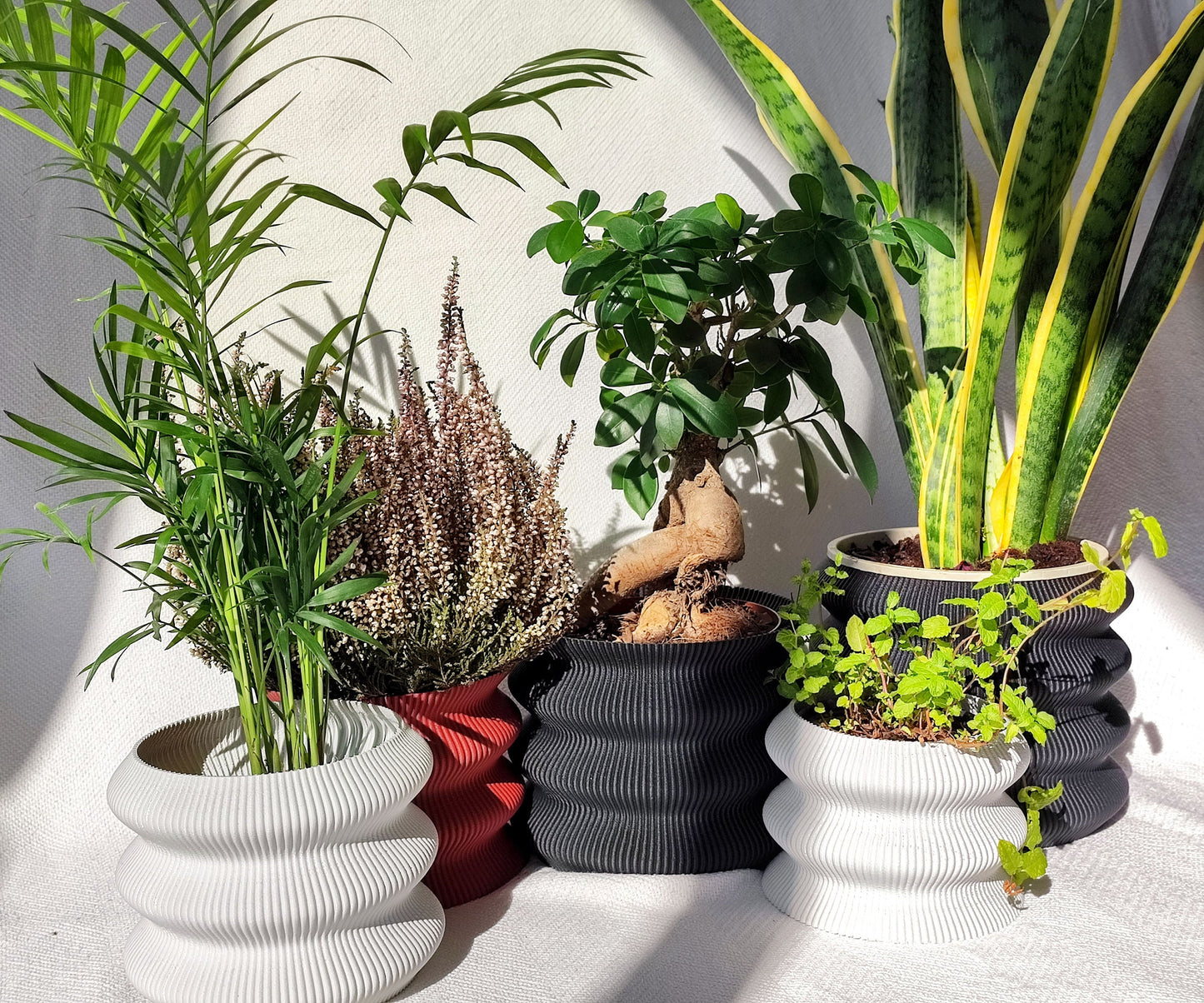 OMEGA Planter, Vase, Tabletop Decor