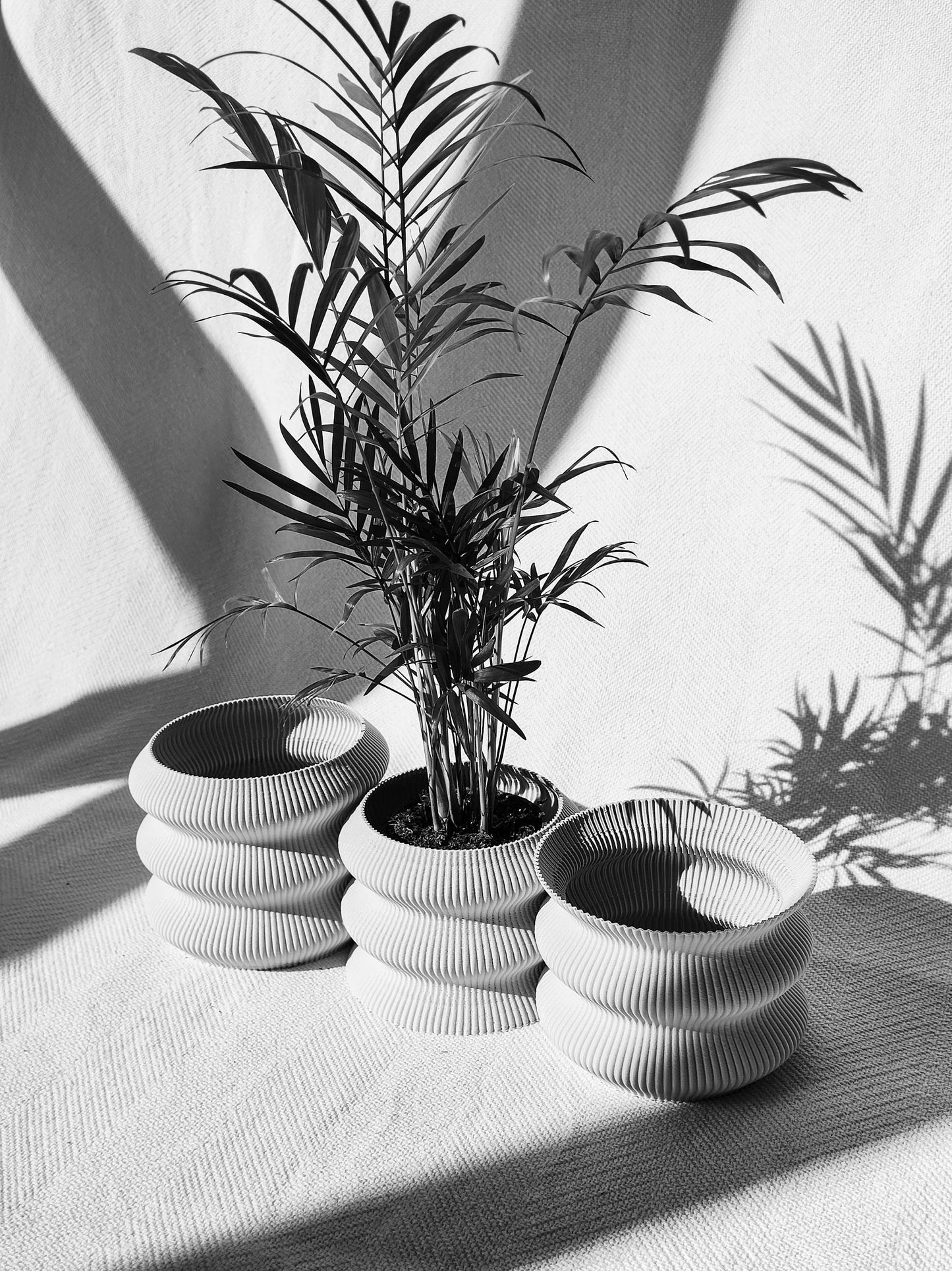 OMEGA Planter, Vase, Tabletop Decor