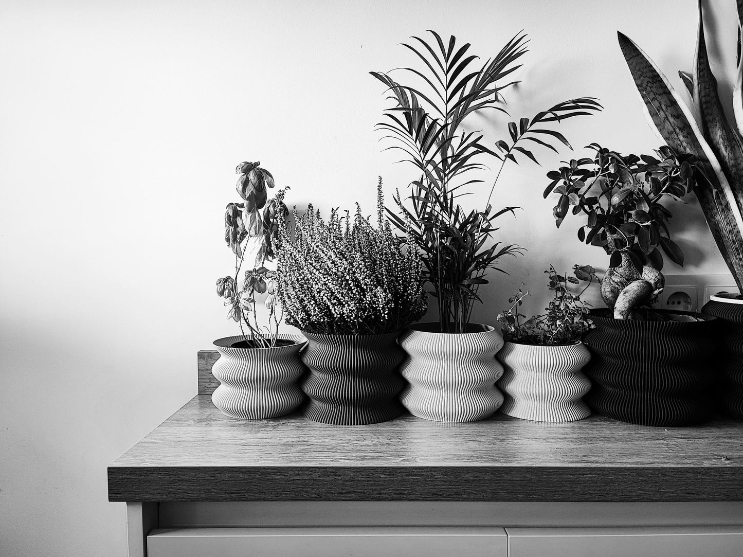 OMEGA Planter, Vase, Tabletop Decor