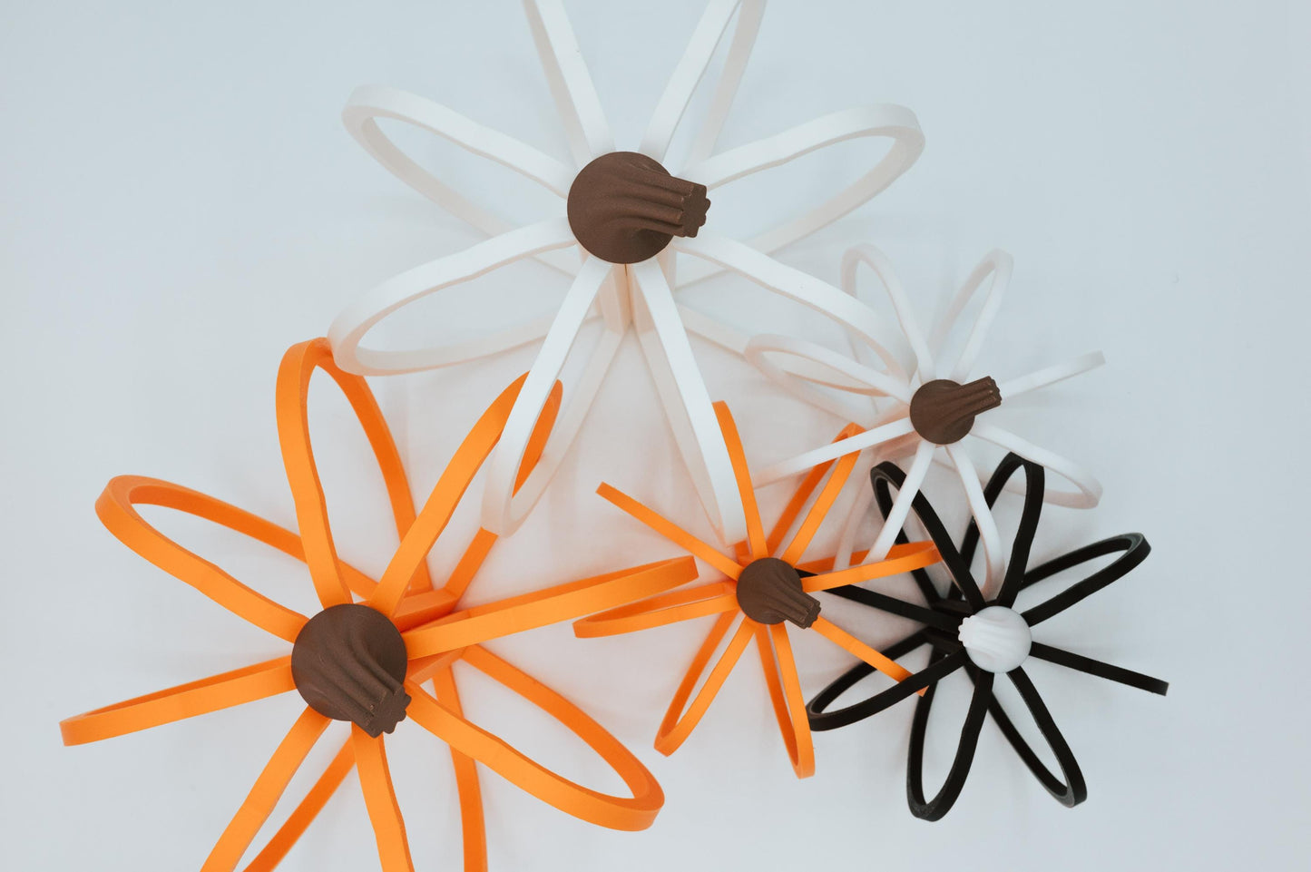 Sliced Pumpkins