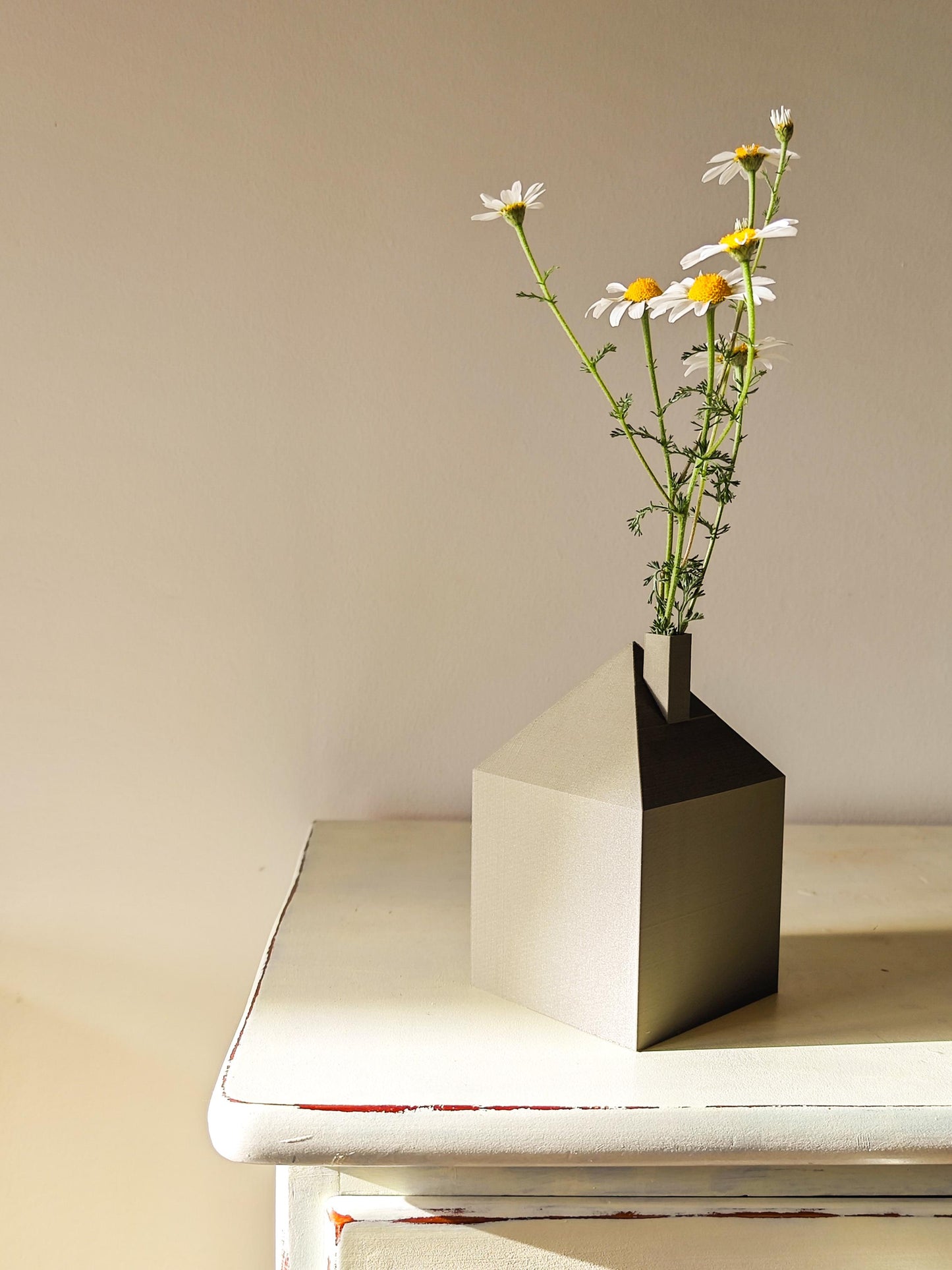 Flome Vase, a Home for your Flowers