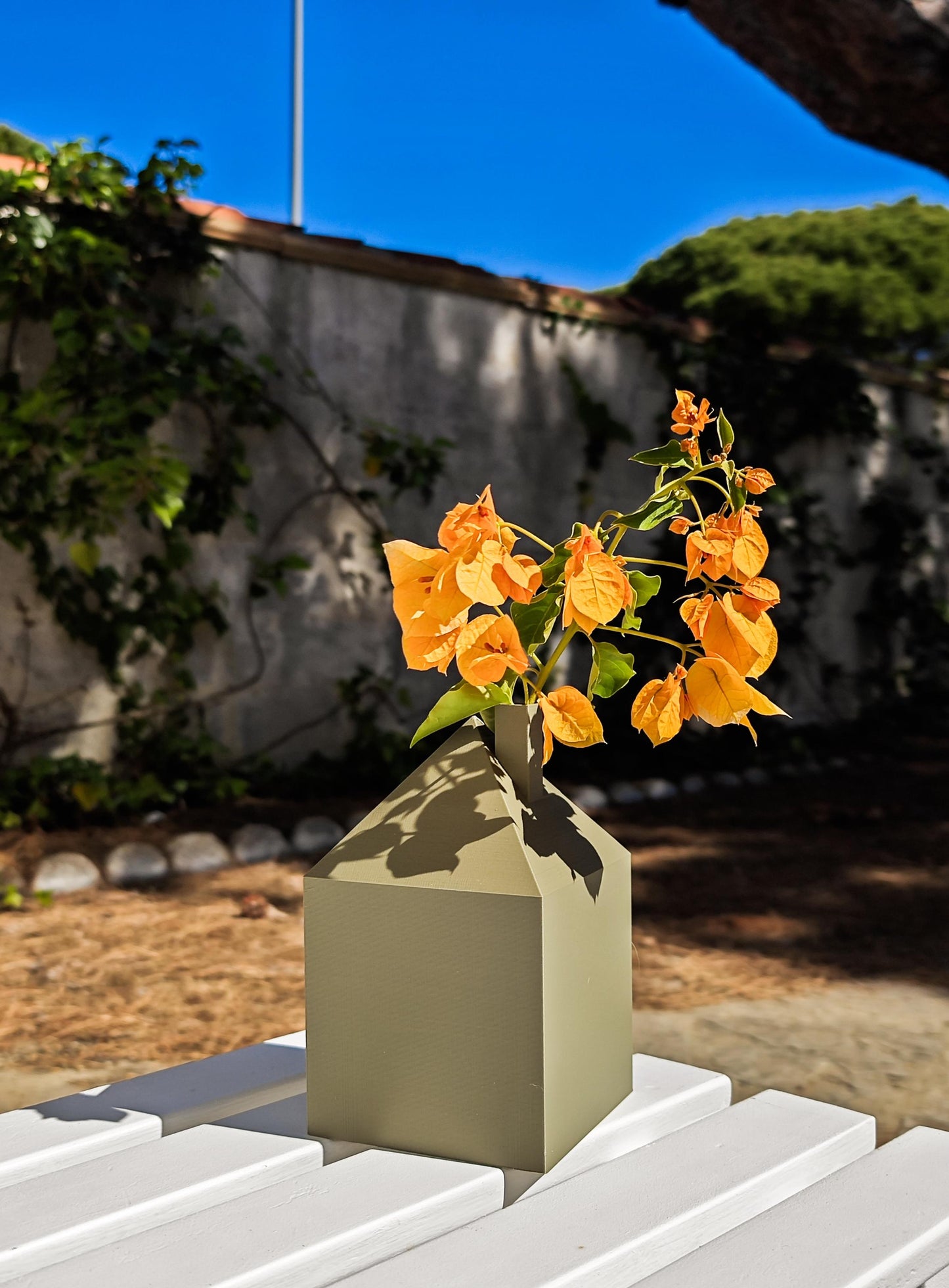 Flome Vase, a Home for your Flowers