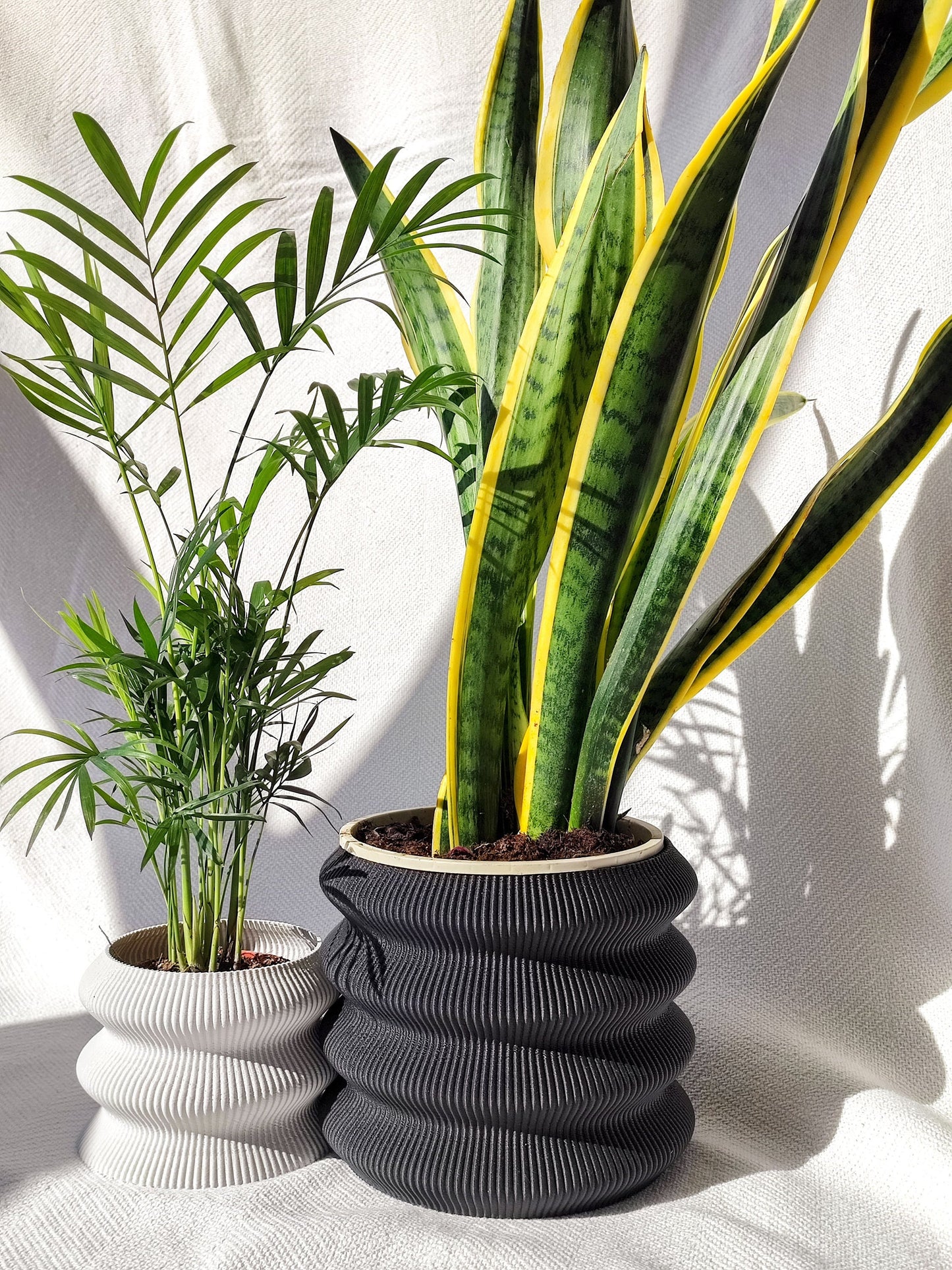 OMEGA Planter, Vase, Tabletop Decor