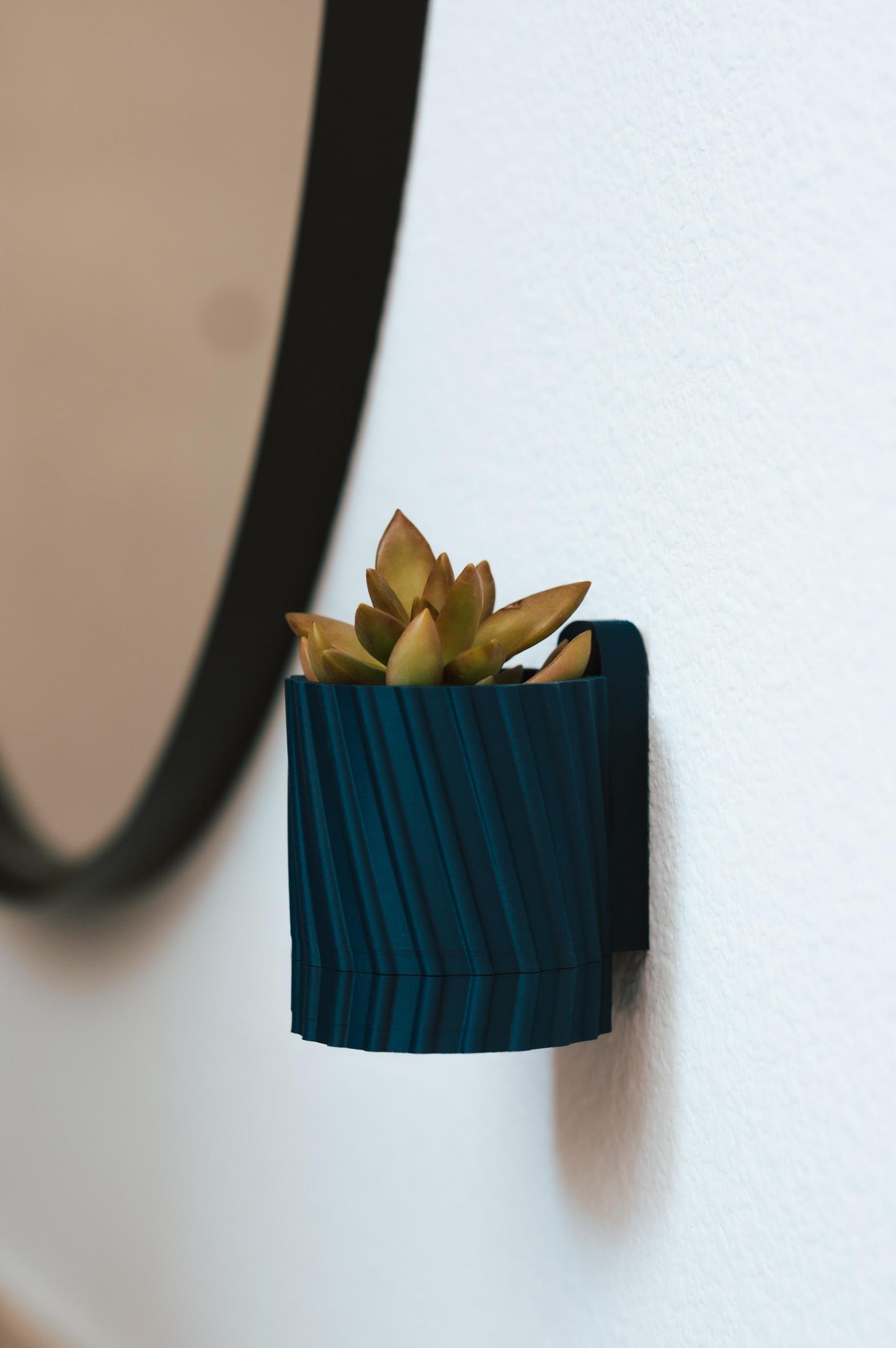 Transform Your Space with these decorative Wall-mounted Planters!