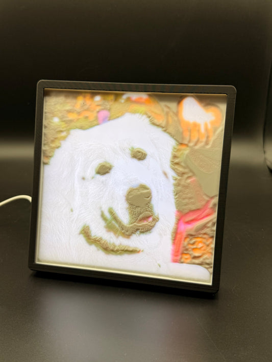 Additional Lithophane Panel – For Existing Frames
