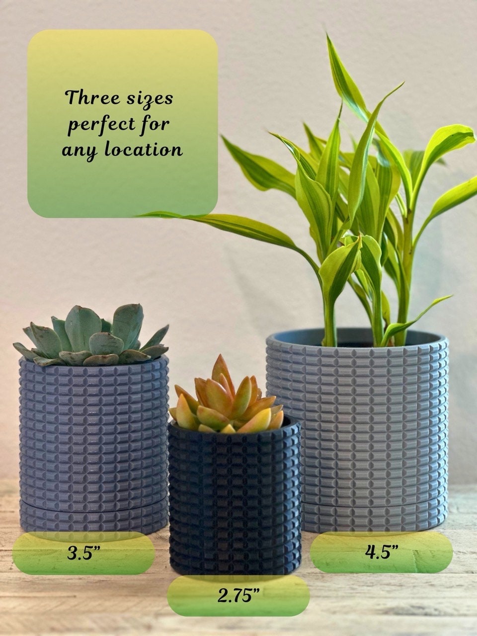 Transform Your Space with these decorative Wall-mounted Planters!